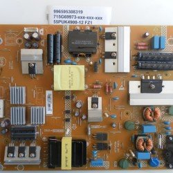 996595308319 715G69973-xxx-xxx-xxx 55PUK4900-12 FZ1