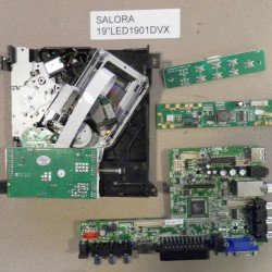 SALORA 19 LED 1901DVX
